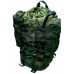 Backpack "6B38" RR 60L (Digital Flora)