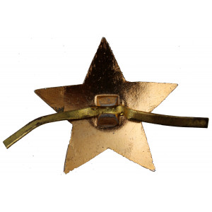 "Star of the USSR" badge