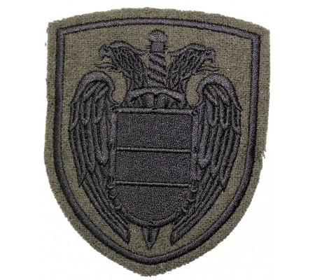 "Federal Protective Service (FSO)" patch (silk)